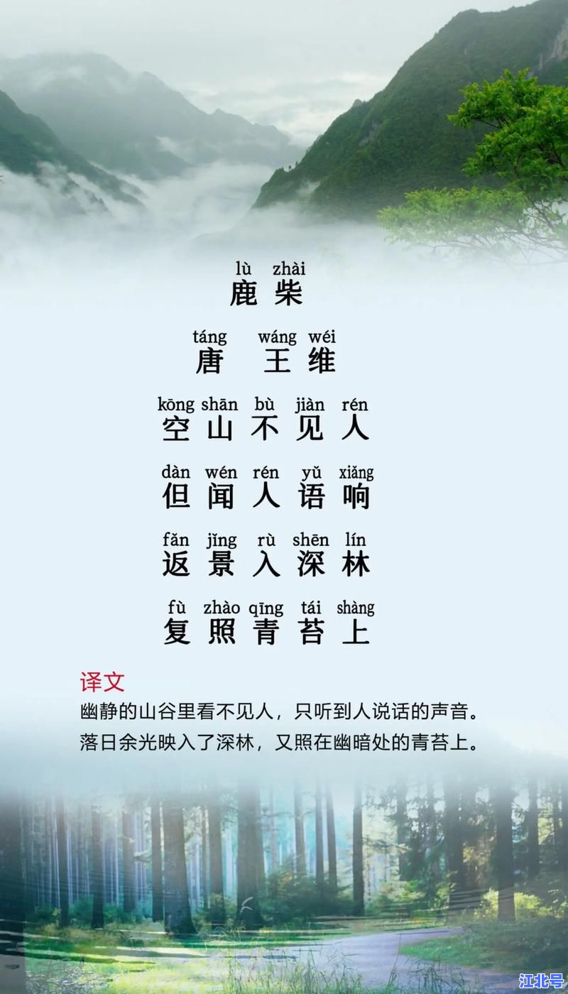 “返景入深林，复照青苔上”是什么时间？王维诗句最佳赏景时段及摄影攻略