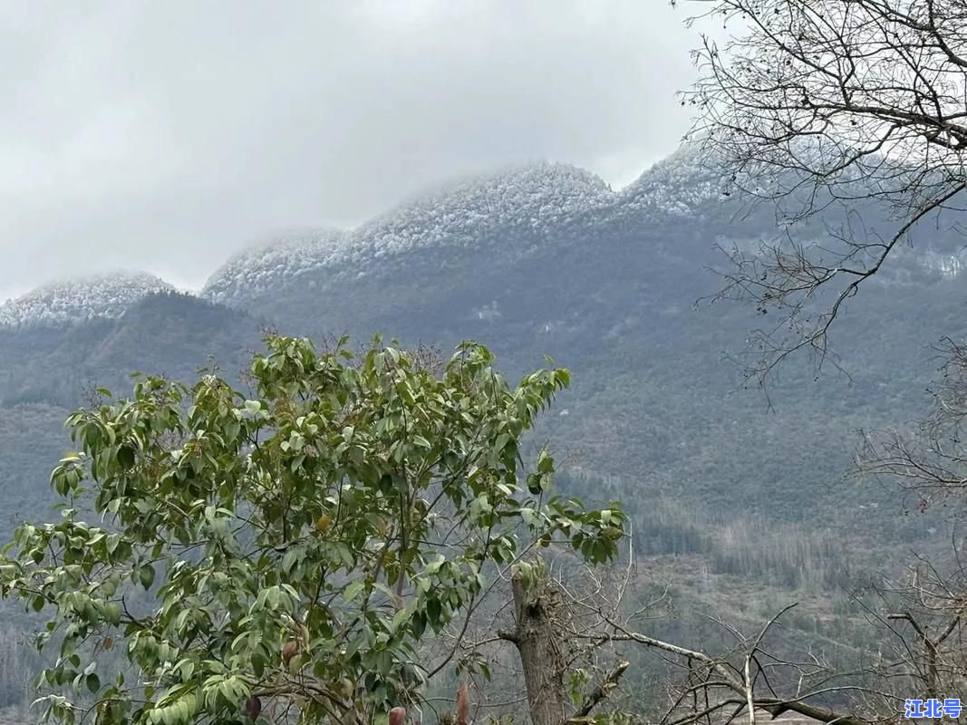 常州什么时候解封小区的最新官方回应来了：2024封控管理政策调整时间表全解读