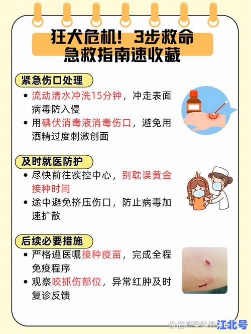 山西狂狂犬病病例最新通报：官方公布感染路径与预防指南务必收藏