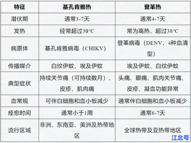 登革热疑似病例诊断标准2024版：症状+实验室检测指南与权威解读
