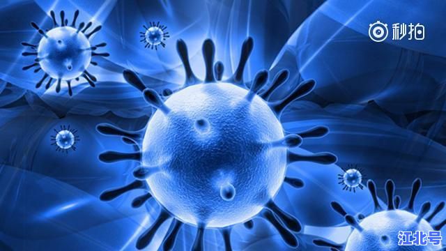 上海这波疫情的源头在哪？最新官方溯源结果与浦东新区流调全过程深度解读