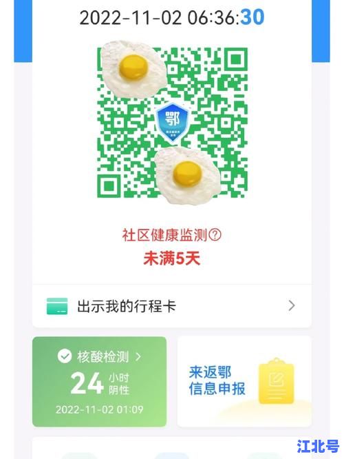 10人混检结果会显示在健康码吗？官方回应流程及同步时效详解