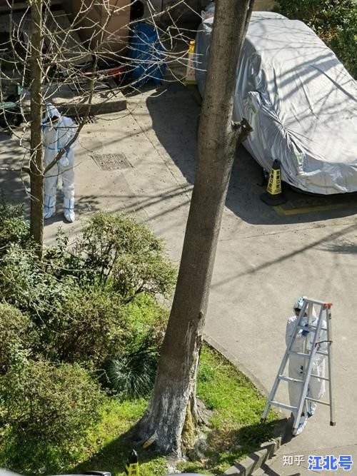 郑州新增1例感染者轨迹公布！2025最新行动路线及风险点位全解析火速围观