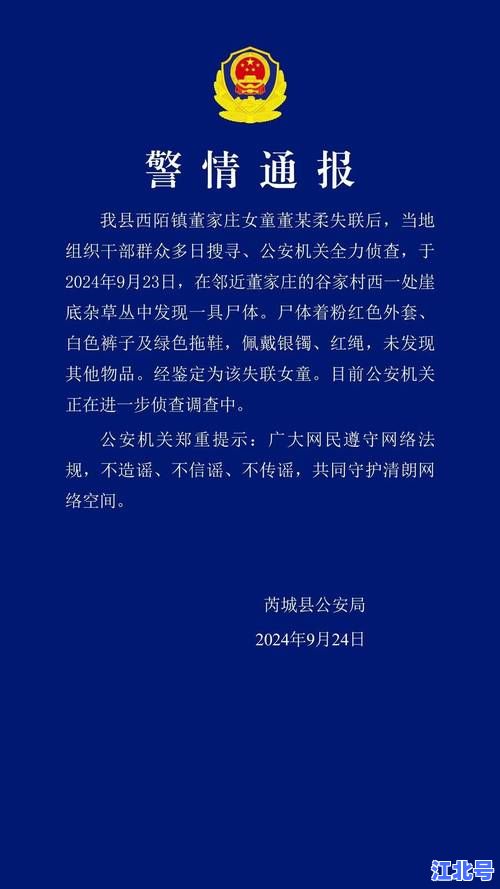最新消息！2024石家庄疫情怎么样了？实时数据+防控政策+权威解读一次看懂